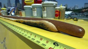 In celebration of National Hot Dog Month, Vienna Beef of Chicago assembled the world's longest hot dog 02 July 2003 at Buckingham Fountain in Grant Park, in Chicago, IL, at 16 feet, 1 inch, besting the previous record of 15 feet, 3 inches. Americans will eat 150 million hot dogs on July 4th alone, consuming more than 2 billion hot dogs during the rest of the month of July. AFP PHOTO/Jeff HAYNES (Photo credit should read JEFF HAYNES/AFP/Getty Images)